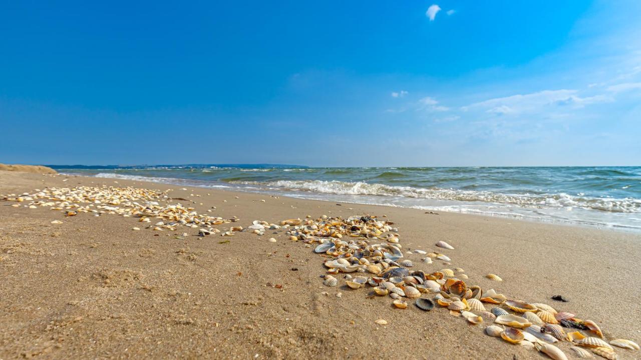 Strandurlaub Ruegen "Luett Matten" Leilighet Binz Eksteriør bilde